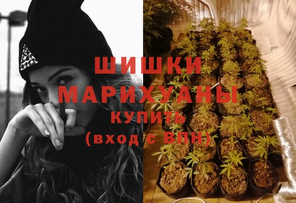 крисы Армянск