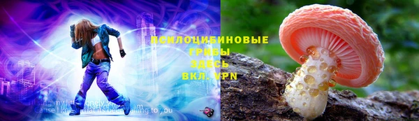 мяу мяу мука Арсеньев