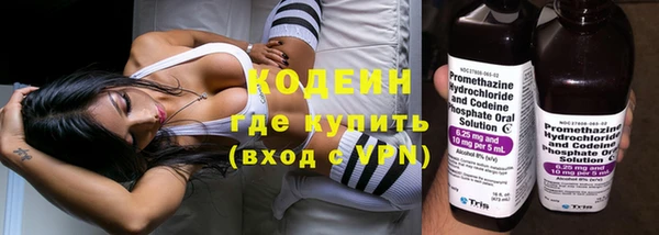 мяу мяу мука Арсеньев