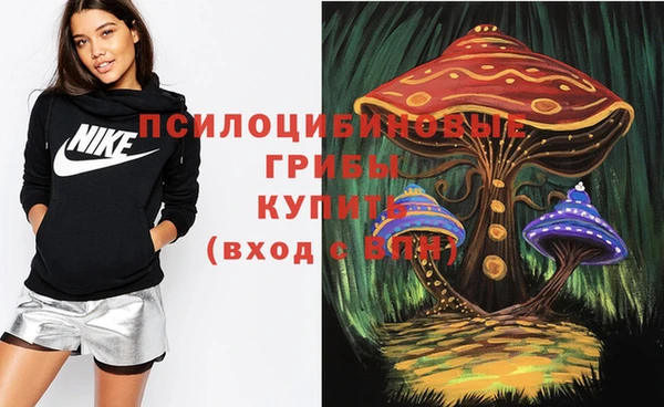 мяу мяу мука Арсеньев
