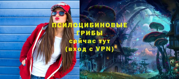 ешки Сосновый Бор
