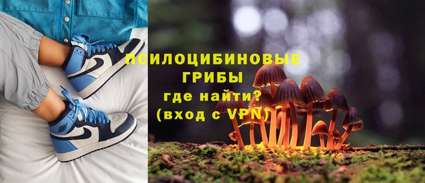 мяу мяу мука Арсеньев